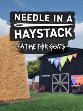 Needle In A Haystack box art