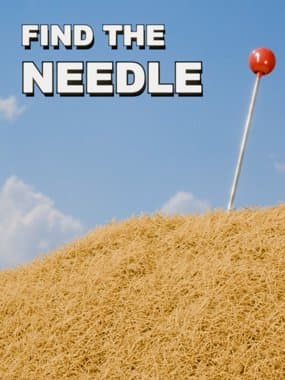 Find The Needle box art