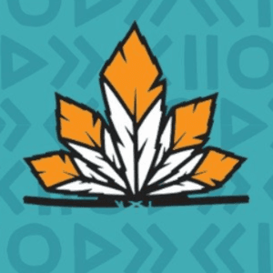 Avatar de BatalhaDaAldeia