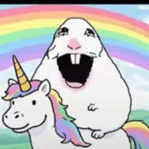 noahreyli avatar