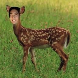 itsRyanHiga avatar