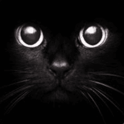 EWROON avatar