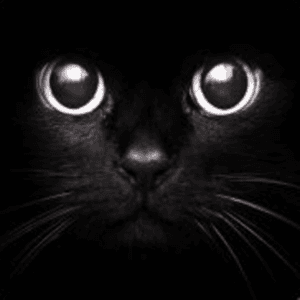 EWROON avatar