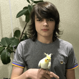 rostislav_999 avatar