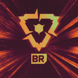VALORANT_BR avatar