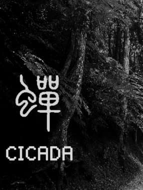 Cicada box art